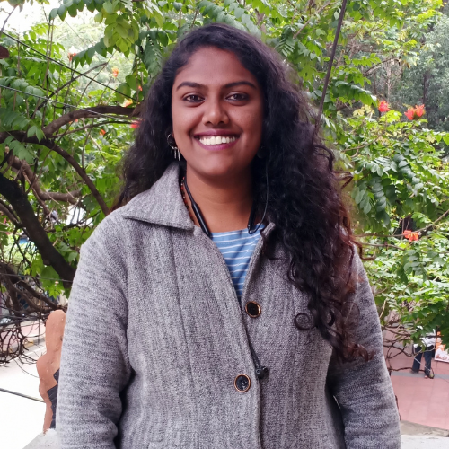 Manager - Resource Mobilization