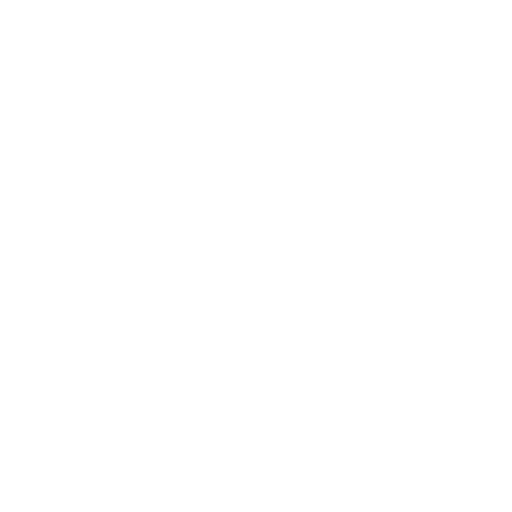 Customized ERP Solutions Icon